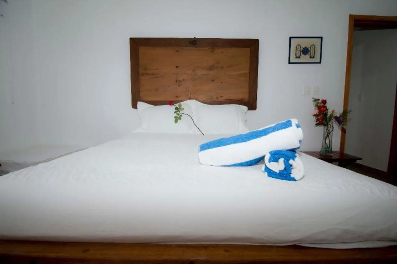 Hotel Alquimia By 5Th Avenue Realty Group Playa del Carmen 2*,  Meksyk