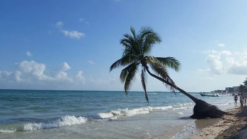 Alquimia By 5Th Avenue Realty Group Hotel Playa del Carmen 2*,