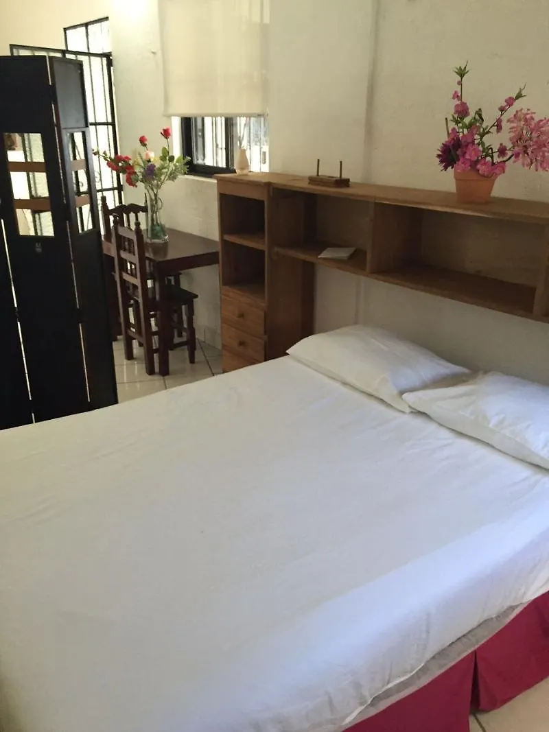 Alquimia By 5Th Avenue Realty Group Hotel Playa del Carmen