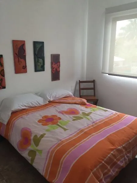 Alquimia By 5Th Avenue Realty Group Hotel Playa del Carmen